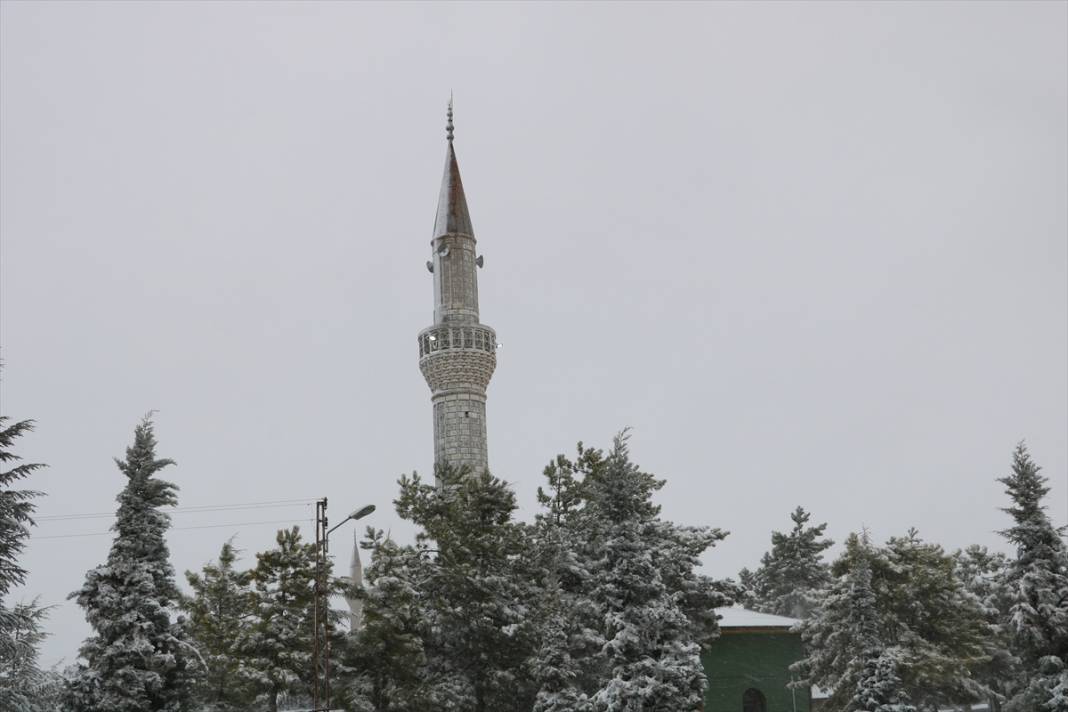 Konya’da çiçek açan ağaçları beyaz örtü kapladı 9